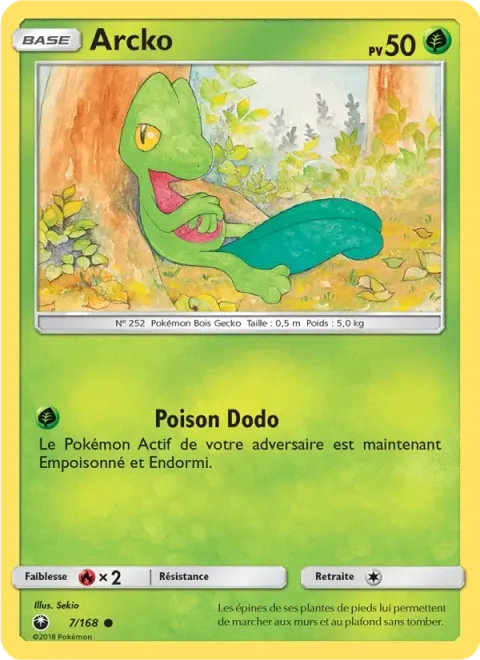 Carte Pokémon Arcko 007/168, extension Tempête Céleste