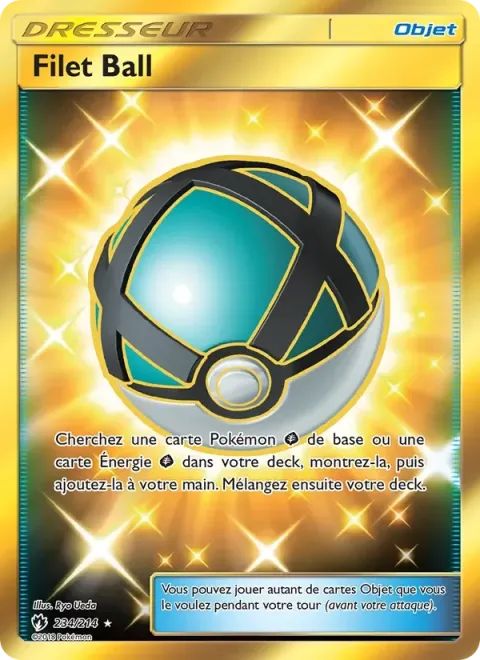 Carte Pokémon Filet Ball 234/214, extension Tonnerre Perdu