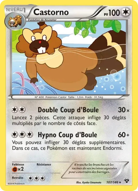 Carte Pokémon Castorno 107/146, extension XY