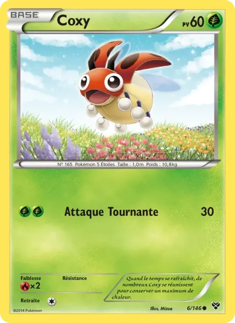 Carte Pokémon Coxy 006/146, extension XY