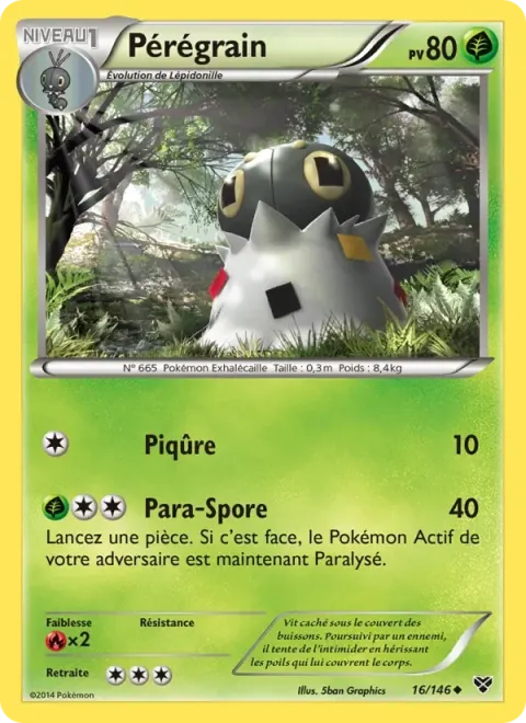 Carte Pokémon Pérégrain 016/146, extension XY
