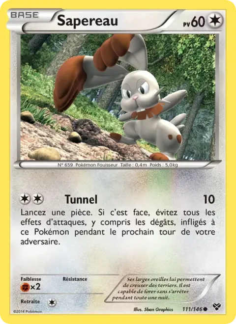 Carte Pokémon Sapereau 111/146, extension XY